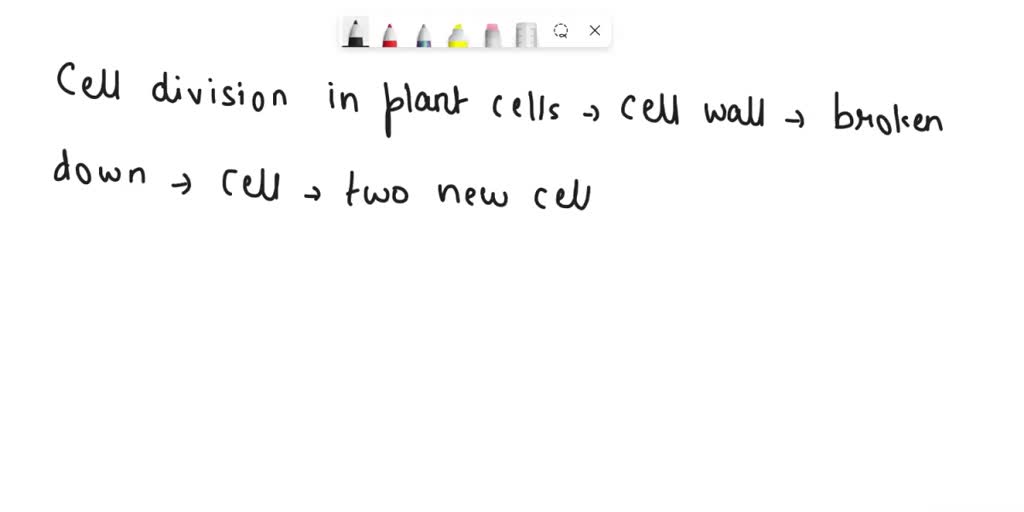 plant-cell-model-diagram