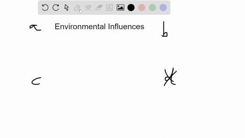 the-environmental-influence-that-has-the-clearest-most-profound-effect-on-intellectual-development-3-10975