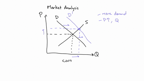 over-a-six-month-period-in-2007-the-price-of-corn-increased-by-almost-70-as-a-result-of-increased-demand-for-ethanol-biofuel-a-as-a-result-of-the-price-increase-in-corn-the-of-corn-would-at-64803