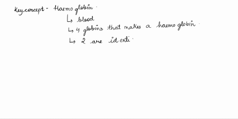 hemoglobin-is-a-tetramer-consisting-of-two-alpha-and-two-beta-chains-what-level-of-protein-structu-2-68259