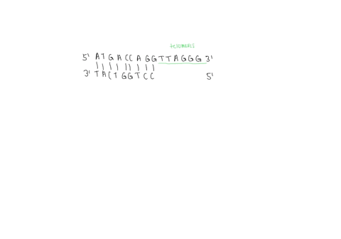 a-study-was-completed-comparing-growth-of-two-cell-lines-these-cell-lines-were-identical-except-that-one-of-them-contained-loss-of-function-mutation-in-the-enzyme-telomerase-over-many-divisi-56855
