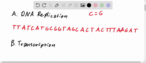 given-the-dna-template-a-a-t-a-g-t-a-c-g-c-g-a-g-t-c-g-t-g-a-t-g-a-a-a-t-t-c-t-a-dna-replication-write-the-sequence-of-complementary-bases-produced-if-the-above-undergoes-replication-b-trans-98744