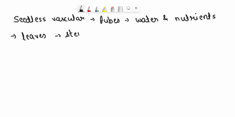 describe-the-characteristics-and-classification-of-seedless-vascular-and-nonvascular-plants-10298