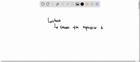 which-one-of-the-following-accurately-describes-the-lac-operon-a-rna-polymerase-is-prevented-from-transcribing-the-lac-genes-when-lactose-is-present-b-the-repressor-protein-binds-to-the-oper-48522