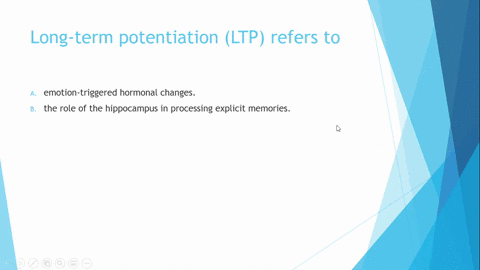 long-term-potentiation-ltp-refers-to-a-emotion-triggered-hormonal-changes-b-the-role-of-the-hippocam-19428