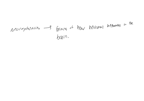 according-to-neuroscientists-which-of-the-following-determines-the-patterns-of-our-neuronal-connections-most-genetics-phenotype-experiences-prenatal-diet