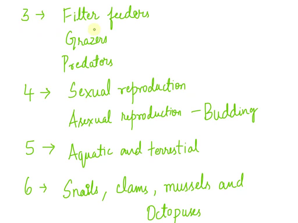 SOLVED Phylum Mollusca What kind of body symmetry do they have? What