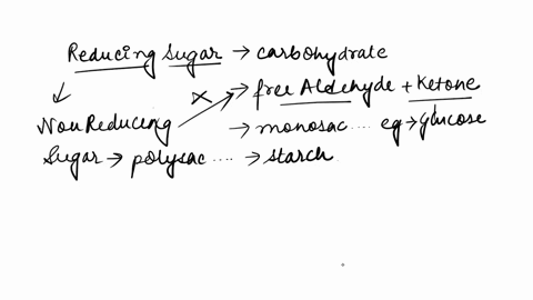 question-3-2-points-you-want-to-determine-if-a-solution-contains-reducing-sugars-using-amylase-an-enzyme-that-digests-starch-and-benedicts-reagent-detects-reducing-sugars-thus-you-decide-to-11836
