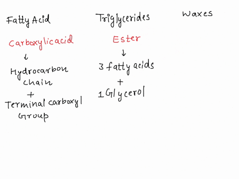 describe-and-compare-the-following-lipids-3-fatty-acids-b-triglycerides-c-waxes-45001