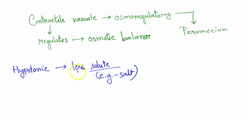 how-does-the-contractile-vacuole-allow-paramecium-to-survive-in-a-hypotonic-environment-would-you-expect-a-parameciums-contractile-vacuoles-to-function-normally-if-the-paramecium-were-out-in-26633