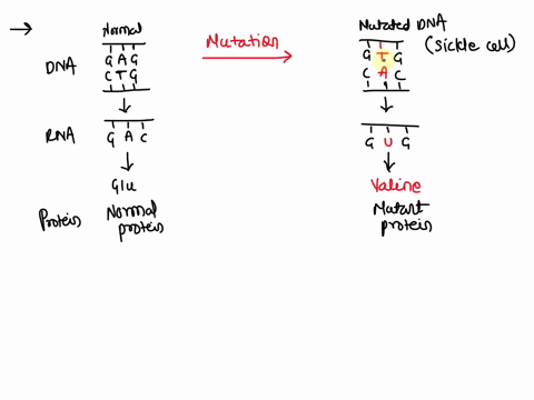 describe-how-dna-mutations-can-create-new-alleles-at-random-42783