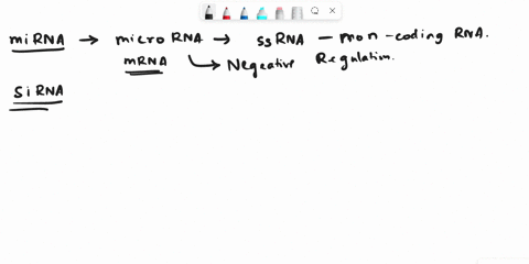 what-is-the-main-difference-between-mirna-and-sirna-molecules-sirna-molecules-cause-an-increase-in-protein-production-while-mirnas-decrease-it-mirna-molecules-are-transcribed-in-the-nucleus-11417
