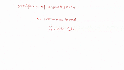 what-determines-the-specificity-of-chymotrypsin-a-conformational-change-upon-binding-of-the-substrate-b-interaction-of-the-active-site-amino-acids-with-the-cofactor-c-covalent-binding-of-a-h-55912