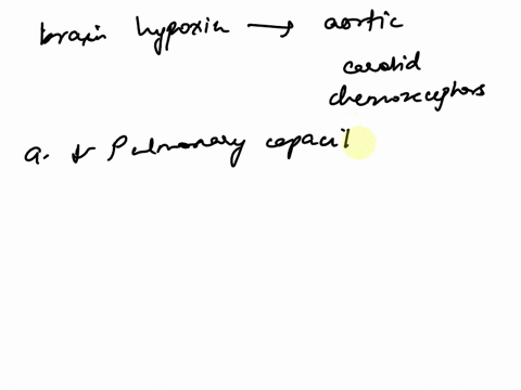 which-of-the-following-causes-of-brain-hypoxia-most-strongly-stimulates-the-aortic-and-carotid-chemoreceptors-a-a-marked-decrease-in-pulmonary-diffusing-capacity-b-carbon-monoxide-poisoning-73308