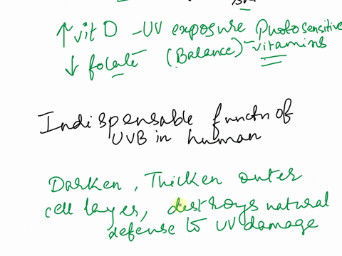 how-does-skin-cancer-not-exert-enough-evolutionary-pressure-to-account-for-darker-skin-in-humans-how-does-folate-deficiency-exert-enough-evolutionary-pressure-to-account-for-darker-skin-in-h-85518