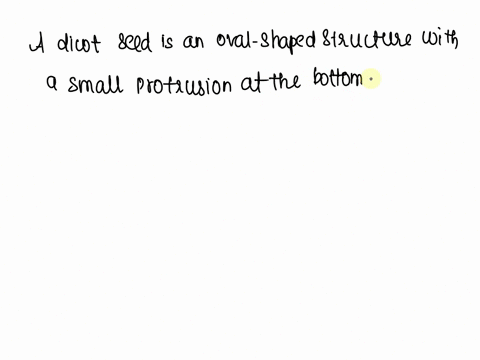 draw-a-neat-diagram-a-dicot-seed-and-label-radicle-on-it-76283