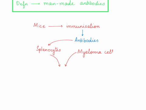 a-what-is-a-monoclonal-antibody-b-how-are-they-produced-c-what-is-3-ways-monoclonal-antibodies-can-be-used-as-a-tool-this-can-include-in-the-laboratory-as-well-as-in-the-clinical-treatment-o-74647