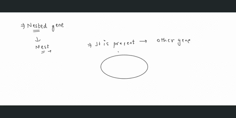 what-is-a-nested-gene-90384