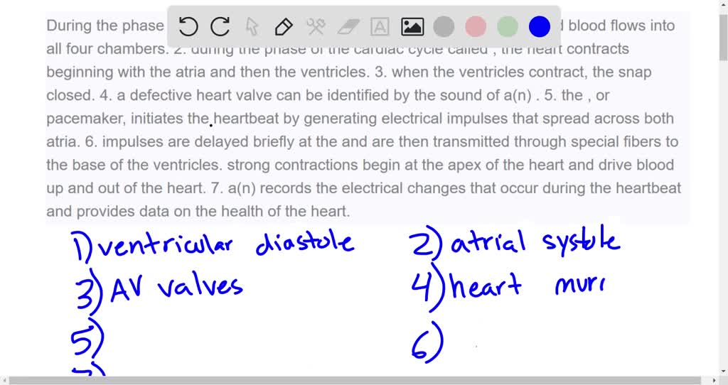 solved-ch-17-hw-cardiovascular-system-the-heart-art-labeling