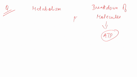 which-statement-about-metabolism-is-not-true-for-many-metabolic-reactions-the-reaction-rateis-strongly-influenced-by-the-substrate-concentration-paired-anabolic-and-catabolic-pathways-often-89726