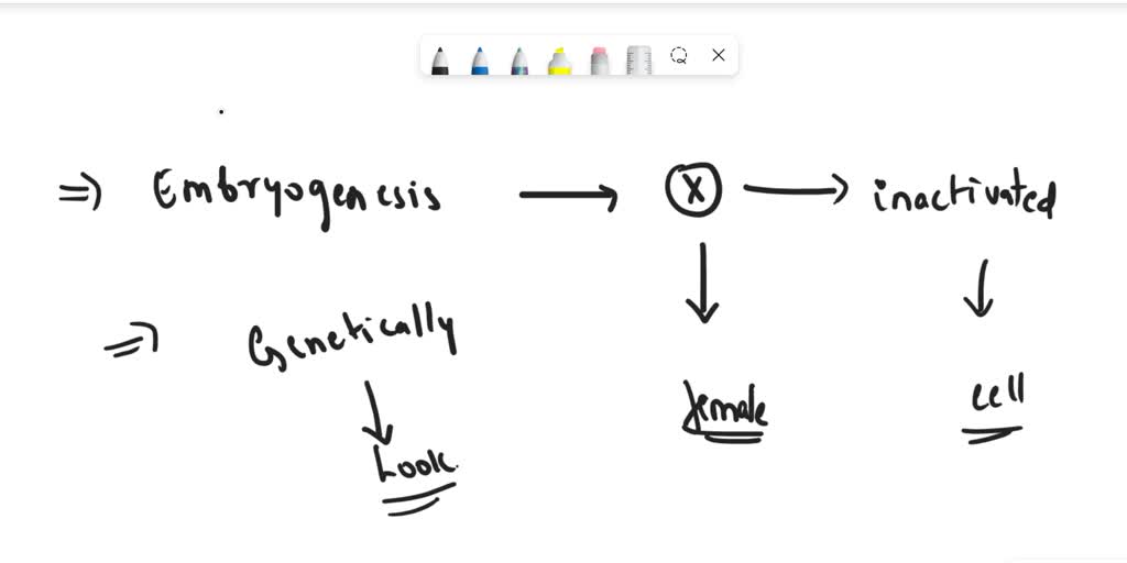 SOLVED The first cloned cat, carbon copy (cc), was tabby, while the