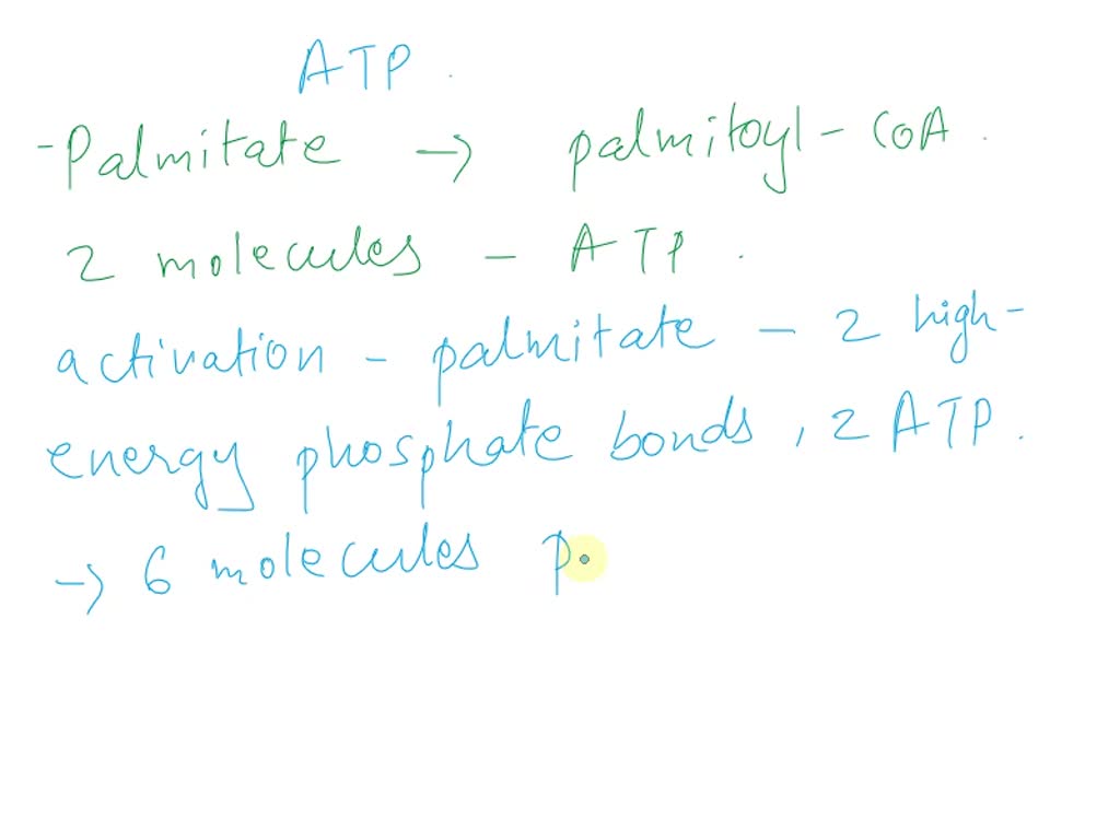 SOLVED: EOS Fatty acid metabolism: Q6 point possible (graded) How many ...