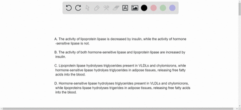 which-statement-best-distinguishes-between-lipoprotein-lipase-and-hormone-sensitive-lipase-note-hydrolysis-refers-to-the-breakdown-of-triglycerides-to-fatty-acids-and-glycerol-a-the-activity-80863