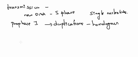 errors-in-the-transmission-of-genetic-information-to-future-generations-are-essential-otherwise-orga-03112