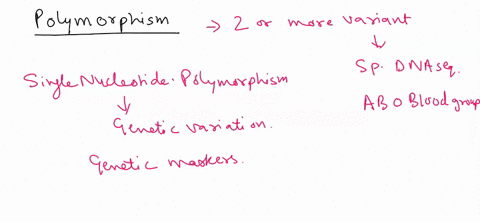 which-of-the-following-types-of-polymorphism-would-be-most-effective-for-distinguishing-two-individuals-from-the-general-population-a-snp-a-simple-indel-or-a-microsatellite-make-sure-you-exp-71238