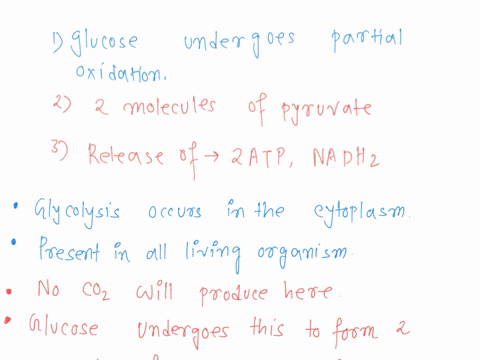 question-24-1-point-glycolysis-results-in-the-partial-oxidation-of-glucose-to-pyruvate-this-means-that-glucose-donates-electrons-directly-to-nad-glucose-combines-with-oxygen-in-the-cytoplasm-68613