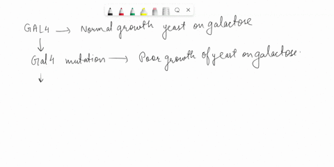 although-operons-are-not-common-in-eukaryotes-eukaryotic-genes-may-be-activated-by-the-same-stimulus-which-of-the-following-dna-regulatory-sequence-makes-this-coordinated-gene-expression-pos-89902