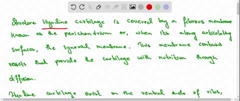 describe-the-structure-of-hyaline-cartilage-where-can-it-be-found-in-the-body-page-242-31717