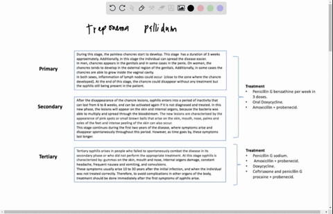 explain-the-different-stages-of-syphilis-terminologytopics-to-include-causative-organism-morphology-gram-stain-reaction-mode-of-transmission-chancre-gumma-symptoms-likelihood-of-infection-tr-4653