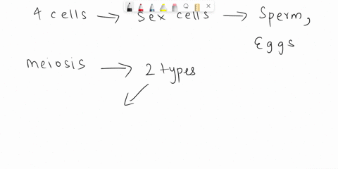 1-the-function-of-meiosis-is-to-make-__________-a-one-cell-with-twice-the-number-of-chromosomes-as-the-parent-cell-b-exact-copies-of-the-parent-cell-c-four-cells-with-the-same-chromosome-num-98428