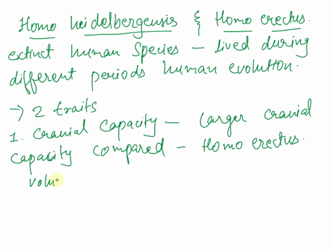 what-traits-can-you-use-t0-differentiate-homo-heidelbergensis-above-from-homo-erectus-below-list-at-least-iwo-exercise-4-homo-heidelbergensis-figurc-credit-bone-clonesbonecloncs-com-horo-hei-37663