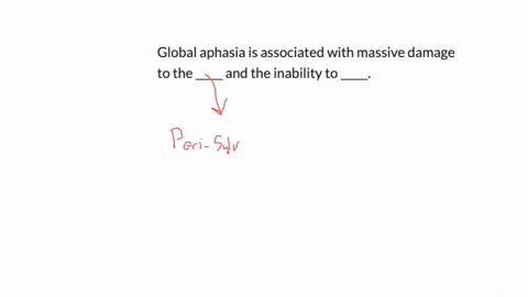 global-aphasia-is-associated-with-massive-damage-to-the-_____-and-the-inability-to