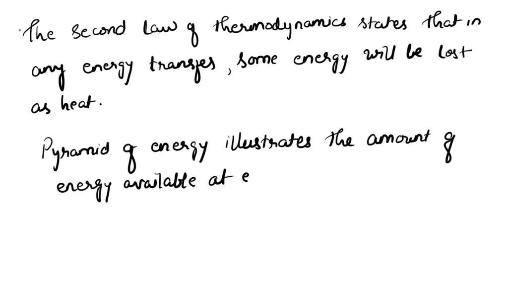 second law of thermodynamics relation to energy pyramid