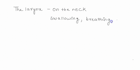 what-part-of-the-respiratory-tract-produces-sound-and-how-sound-is-produced-and-a-few-things-that-can-influence-a-voice-48884
