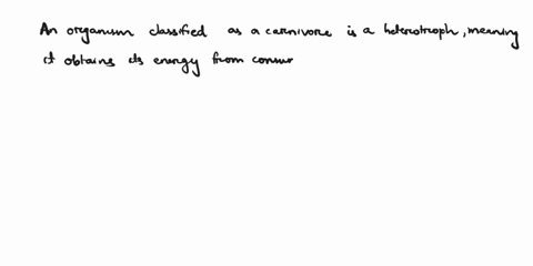 an-organism-is-classified-as-a-carnivore-is-it-a-heterotroph-or-an-autotroph-is-it-a-producer-consumer-or-decomposer-85125