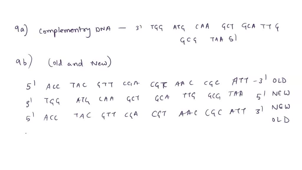 SOLVED: A templale DNA strand reads 3'GGCAATCA-5' Fill in the missing ...