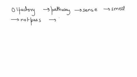 which-sensory-pathway-does-not-go-through-the-thalamus-question-options-a-auditory-b-vision-c-gustatory-d-olfactory-60223