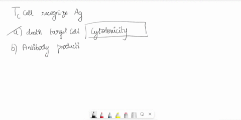 which-of-the-following-happens-if-a-t-cytotoxic-cells-recognizes-its-antigen-select-all-that-apply-death-of-target-cell-antibody-production-activation-of-the-complement-system-0-release-of-a-00767