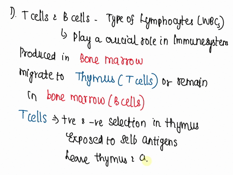 8. Non-hematopoietic cell types are crucial in B cell and T cell ...