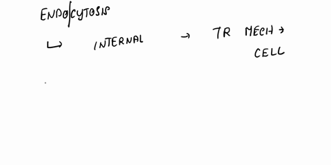 which-type-of-transport-is-endocytosis-passive-facilitated-active-49761