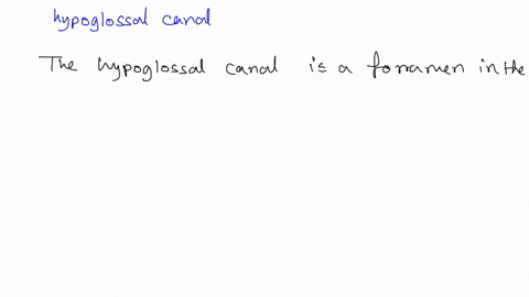 question-29-125-pts-which-of-the-following-features-belong-to-the-occipital-bone-mandibular-foramen-hypoglossal-canal-mental-foramen-coronoid-process-foramen-rotundumn-question-30-125-pts-th-73859