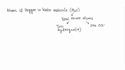 how-many-oxygen-o-atoms-are-in-the-following-h2o-co2-4-2-3-three-27812
