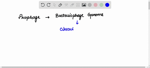 a-prophage-is-made-of-a-bacteriophages-b-carbohydrates-c-capsid-proteins-d_-viral-dna-1-of-15-72175