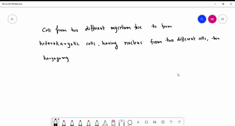 question-8-1-pts-which-of-the-following-is-true-of-fungi-sexual-life-cycle-diploid-spores-are-produced-by-mitosis-of-a-diploid-zygote-the-fruiting-body-contains-haploid-cells-karyogamy-of-he-83579