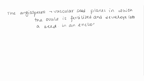 what-do-botanists-call-plants-that-form-flowers-and-seeds-through-the-sexual-process-that-allows-more-mixing-of-genes-and-evolution-to-proceed-more-quickly-1-sexualphores-2-spermatophores-3-56862