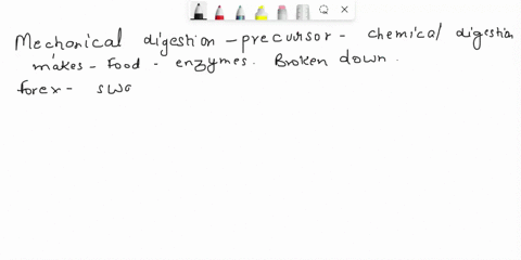 explain-why-mechanical-digestion-an-important-precursor-chemical-digestion-that-enables-chemical-digestion-to-be-more-efficient-give-specific-examples-of-structures-used-in-these-processes_-24475